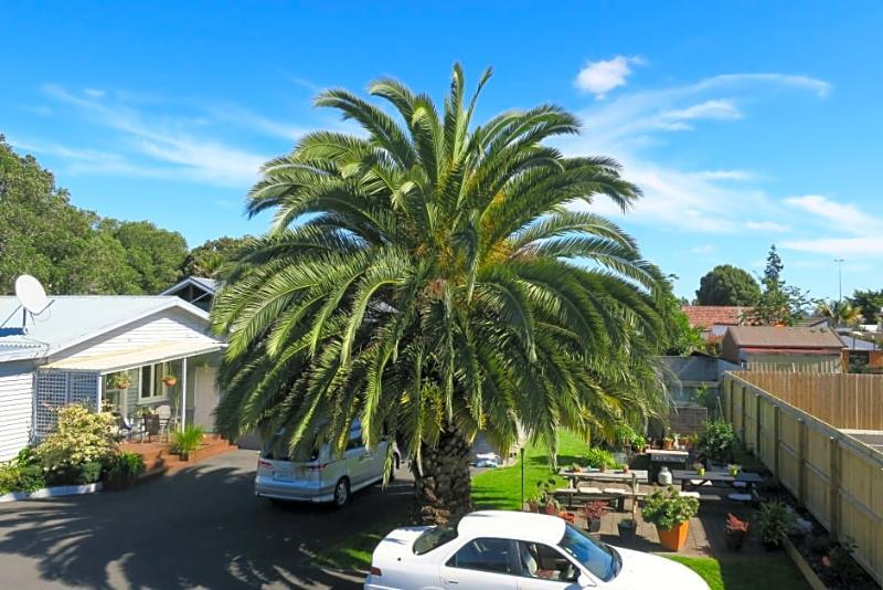 Roselands Motel Tauranga Exterior foto